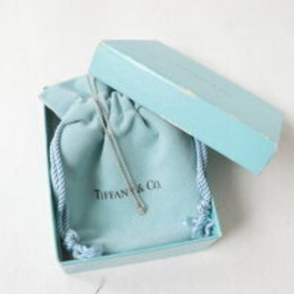 Tiffany Co Diamond By the Yard Necklace Sterling Silver